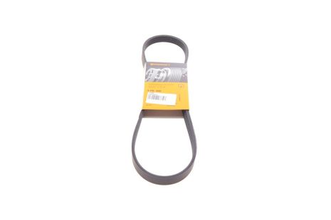 Полікліновий ремінь OPEL AGILA, ROVER MONTEGO, CONTITECH (5PK890)