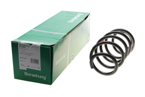 Пружина підвіски SKODA SUPERB, VW CC, VW PASSAT, BORSEHUNG (B12623)
