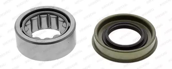 Комплект подшипника ступицы FORD TRANSIT, MOOG (FDWB12911) Комплект подшипника ступицы FORD TRANSIT, MOOG (FDWB12911)