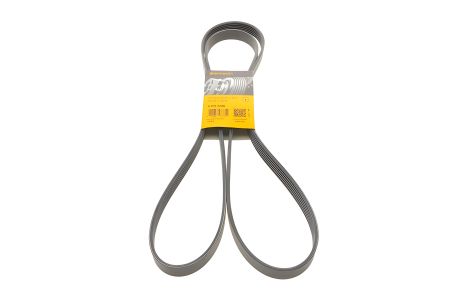 Поликлиновый ремень Chevrolet Omega, Porsche 911, Contitech (6PK2260) Поликлиновый ремень Chevrolet Omega, Porsche 911, Contitech (6PK2260)