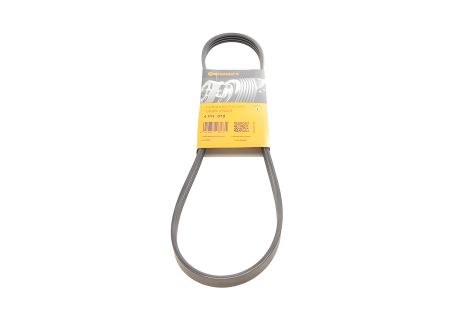 Поликлиновый ремень для NISSAN 350, KIA PICANTO, CONTITECH (4PK870) Поликлиновый ремень для NISSAN 350, KIA PICANTO, CONTITECH (4PK870)