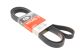 Клиновый ремень для DODGE DAKOTA, KIA SORENTO, GATES (7PK2255)