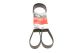 Поликлиновый ремень BMW X6, HONDA CIVIC, GATES (7PK1645)