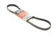 Полікліновий ремінь FORD FOCUS, GATES (6PK1030SF)