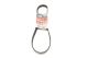 Поликлиновый ремень FORD MONDEO, MAZDA 2, GATES (6PK1019SF)