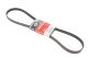 Поликлиновой ремень CHRYSLER YPSILON, FORD KA, GATES (6PK1310) Поликлиновой ремень CHRYSLER YPSILON, FORD KA, GATES (6PK1310)