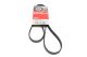 CHERY ORIENTAL, ALPINE V6 полікліновий, GATES (5PK1330) ремінь