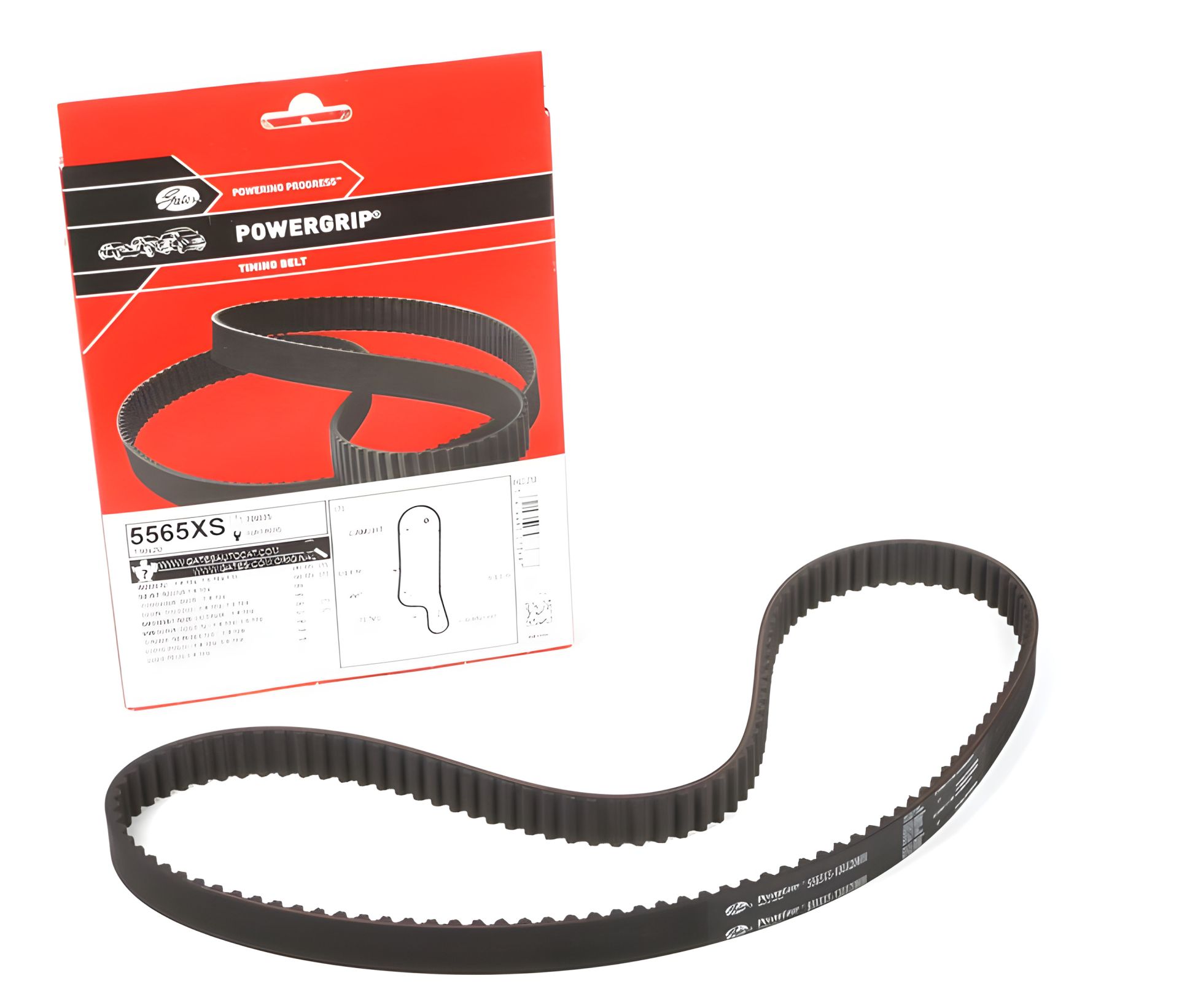 Зубчастий ремінь ГРМ A2 AUDI, ROOMSTER SKODA, GATES (5565XS) Зубчастий ремінь ГРМ A2 AUDI, ROOMSTER SKODA, GATES (5565XS)