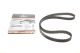 Ремень зубчатый ГРМ OPEL ANTARA, GATES (5634XS) Ремень зубчатый ГРМ OPEL ANTARA, GATES (5634XS)