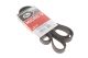 Поликлиновый ремень TOYOTA AVENSIS, NISSAN PRIMASTAR, GATES (7PK2000)