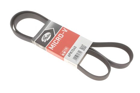 Ремінь генератора Golf IV/BMW/Ford/Opel, GATES (6PK1540) Ремінь генератора Golf IV/BMW/Ford/Opel, GATES (6PK1540)