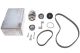 Помпа + комплект ремня ГРМ AUDI A2, SEAT LEON, HEPU (PK05580)