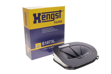 Фільтр повітряний BMW X5, HENGST FILTER (E1073L)