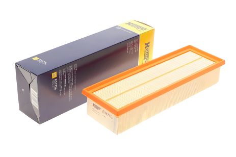 Повітряний фільтр BMW X4, HENGST FILTER (E1171L)