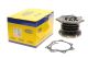 Помпа, водяной насос FORD MAVERICK, NISSAN TRADE, MAGNETIMARELLI (352316170798)