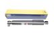 Амортизатор MAGNETI MARELLI (351877070000) NISSAN INTERSTAR, OPEL MOVANO, RENAULT MASTER