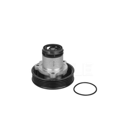 Водяной насос VW BEETLE, VW GOLF, VW JETTA, MEYLE (1132200028)