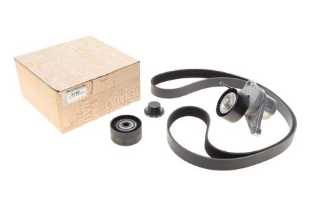 Ремень генератора ручейковый+ролики RENAULT 2.0 dCi (7701476644) 7PK1705