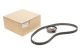 Комплект ГРМ 96 зубцов Logan 1.4-1.6 8v с 2008 г.,, RENAULT (130C17480R) Комплект ГРМ 96 зубцов Logan 1.4-1.6 8v с 2008 г.,, RENAULT (130C17480R)