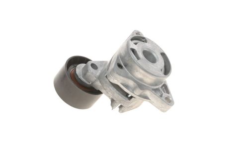 Ролик натягувача ременя у зборі Master/Trafic 2.2-2.5dCi 02-, NTN-SNR (GA355.16)