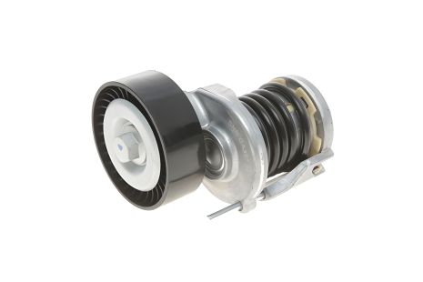 Натяжной ролик поликлинового ремня для SEAT ALHAMBRA, VW TRANSPORTER, от SNR (GA35724) Натяжной ролик поликлинового ремня для SEAT ALHAMBRA, VW TRANSPORTER, от SNR (GA35724)