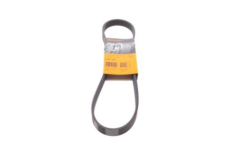 Поликлиновый ремень TOYOTA YARIS, CITROËN JUMPER, CONTITECH (6PK875)