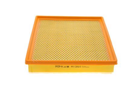 Повітряний фільтр NISSAN INTERSTAR, OPEL MOVANO, PURFLUX (A1250) Повітряний фільтр NISSAN INTERSTAR, OPEL MOVANO, PURFLUX (A1250)