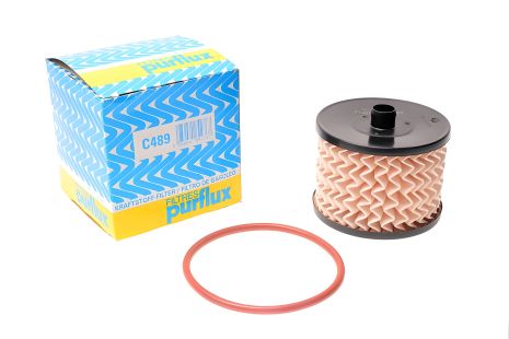 Паливний фільтр 2.0HDi Scudo/Expert 07-/Citroen C4/C5 05-, PURFLUX (C489)