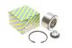 Комплект подшипника ступицы FORD C-MAX, FORD GRAND, FORD KUGA, NTN-SNR (R15273)