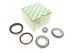 Комплект підшипника маточини MAZDA DEMIO, MAZDA 323, MAZDA 121, NTN-SNR (R17009) Комплект підшипника маточини MAZDA DEMIO, MAZDA 323, MAZDA 121, NTN-SNR (R17009)