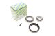 Комплект подшипника ступицы MERCEDES-BENZ E-CLASS, CLK, MERCEDES-BENZ SLK, NTN-SNR (R15124)
