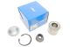 Комплект подшипника ступицы DACIA LOGAN, SANDERO/RENAULT LOGAN/STEPWAY, SKF (VKBA6658)