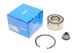 Комплект подшипника ступицы DACIA DUSTER, RENAULT SANDERO/STEPWAY, RENAULT MEGANE, SKF (VKBA6682)