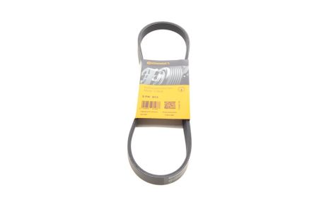 Ремінь генератора 5PK 813 BMW 3/5/7, CONTITECH (5PK813) Ремінь генератора 5PK 813 BMW 3/5/7, CONTITECH (5PK813)