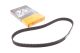 Ремень зубчатый ГРМ FORD USA PROBE II PROBE II, MAZDA PREMACY, CONTITECH (CT787) Ремень зубчатый ГРМ FORD USA PROBE II PROBE II, MAZDA PREMACY, CONTITECH (CT787)