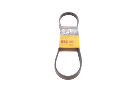 Поликлиновый ремень MITSUBISHI COLT, HYUNDAI XG, CONTITECH (5PK906) Поликлиновый ремень MITSUBISHI COLT, HYUNDAI XG, CONTITECH (5PK906)