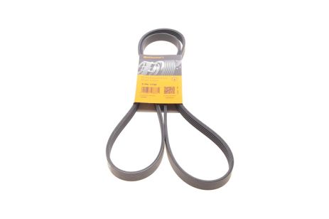 Ремень генератора 5PK1750 Kangoo 1.4/1.6i, CONTITECH (5PK1750)