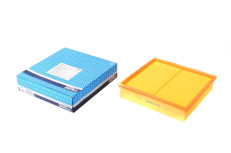 Воздушный фильтр для Omega B 94-03, PURFLUX (A1088)