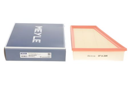 Фільтр повітряний для SEAT TOLEDO, VW POLO, SKODA RAPID, MEYLE (1003210009)