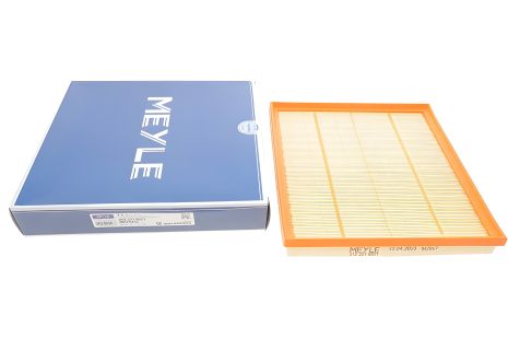 Повітряний фільтр BMW X4, BMW X5, BMW 6, MEYLE (3123210021)