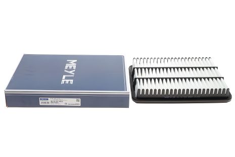 Повітряний фільтр TOYOTA LAND CRUISER, MEYLE (30123210022) Повітряний фільтр TOYOTA LAND CRUISER, MEYLE (30123210022)