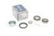 Комплект підшипника маточини VW CADDY, AUDI A4, AUDI A6, MEYLE (1005980002) Комплект підшипника маточини VW CADDY, AUDI A4, AUDI A6, MEYLE (1005980002)