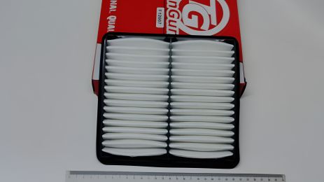 Повітряний фільтр Matiz, TANGUN (F12007) (96314494)