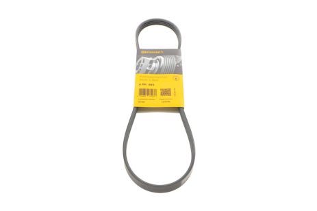 Ремінь генератора струмковий Accent/Getz 1.4-1.6, CONTI TECH (4PK845) (25212-26021)