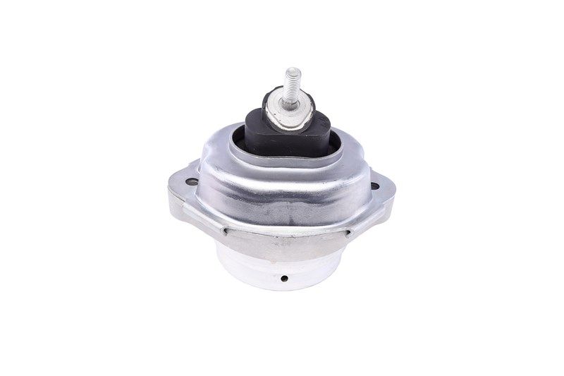 Подушка двигуна BMW X5, FEBI BILSTEIN (29838) Подушка двигуна BMW X5, FEBI BILSTEIN (29838)