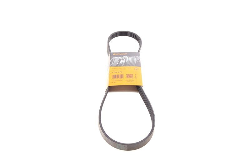 Поликлиновый ремень DAEWOO LANOS, DAIHATSU FEROZA, CONTITECH (5PK975) Поликлиновый ремень DAEWOO LANOS, DAIHATSU FEROZA, CONTITECH (5PK975)