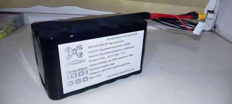 Вертикальная аккумуляторная батарея 6S3P BAK N210700CGP