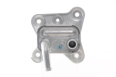 Радиатор масляный Ford Transit 1.8D 98-13, MAHLE/KNECHT (CLC137000S) Радиатор масляный Ford Transit 1.8D 98-13, MAHLE/KNECHT (CLC137000S)