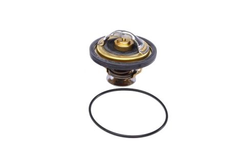 Термостат FIAT, RENAULT , WAHLER (417479D) Термостат FIAT, RENAULT , WAHLER (417479D)
