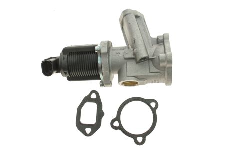 Клапан рециркуляции выхлопных газов Fiat PIERBURG (700020240) Клапан рециркуляции выхлопных газов Fiat PIERBURG (700020240)